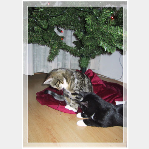 Kerstkaart 2004 - binnenkant rechts, �sonja227