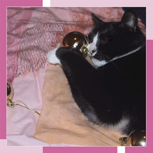 Kerstkaart 2005 - achterkant, �sonja227