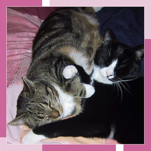 Kerstkaart 2005 - binnenkant, �sonja227